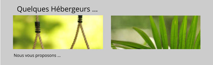 Quelques Hébergeurs ... Nous vous proposons ...